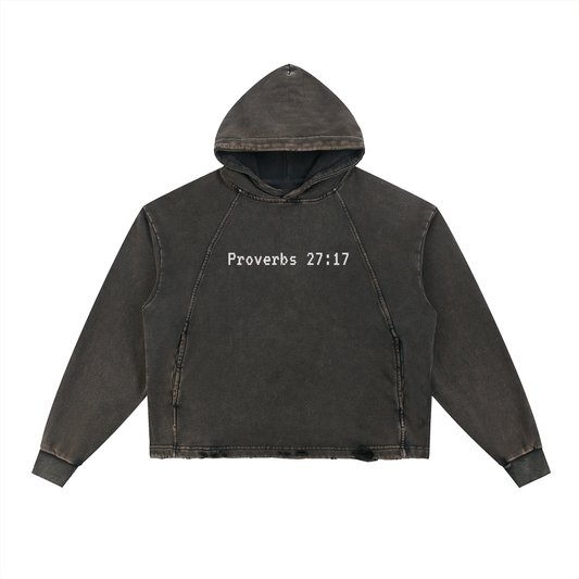 Proverbs 27:17 Hoodie