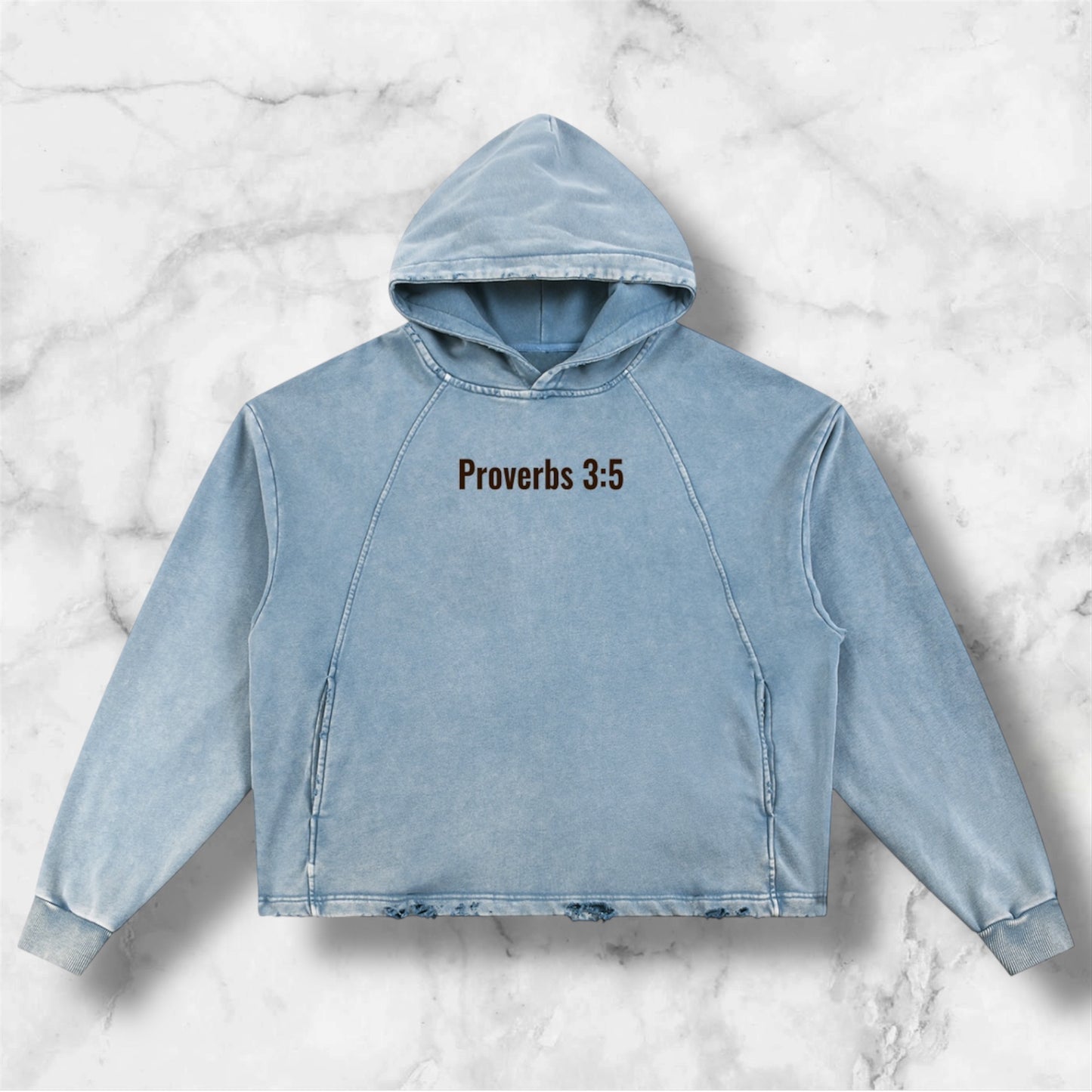 Proverbs 3:5 Hoodie