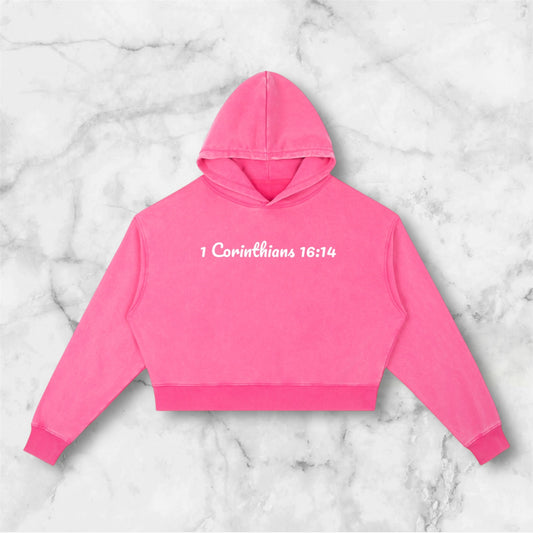 1 Corinthians 16:14 Hoodie